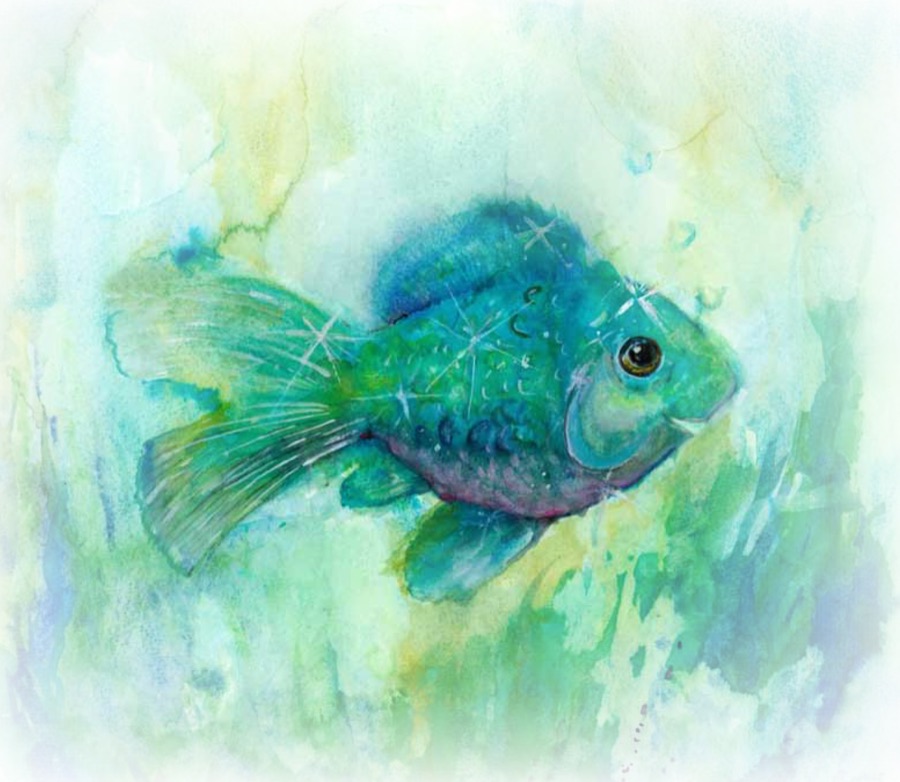 Faccio, ein rundlicher blaugrüner Fisch.