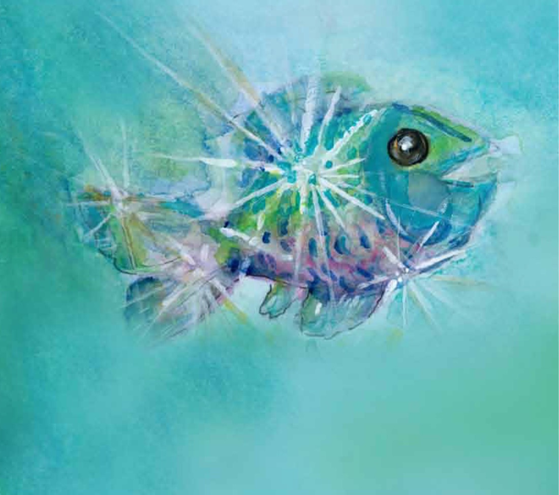 Aquarell: Faccio schwebt im türkisen Wasser und strahlt weiße Lichtstrahlen in alle Richtungen ab.